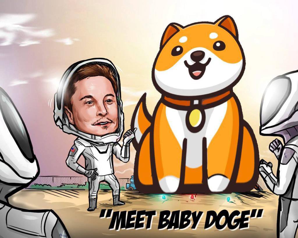 Baby Doge Coin Elon Musk