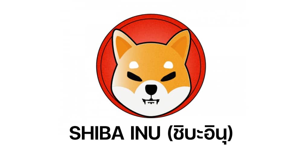 SHIBA INU (ชิบะอินุ)